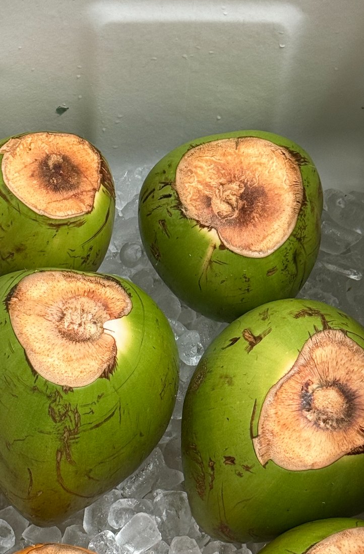 Young coconuts shaved flat across the crown, ready to push in and drink