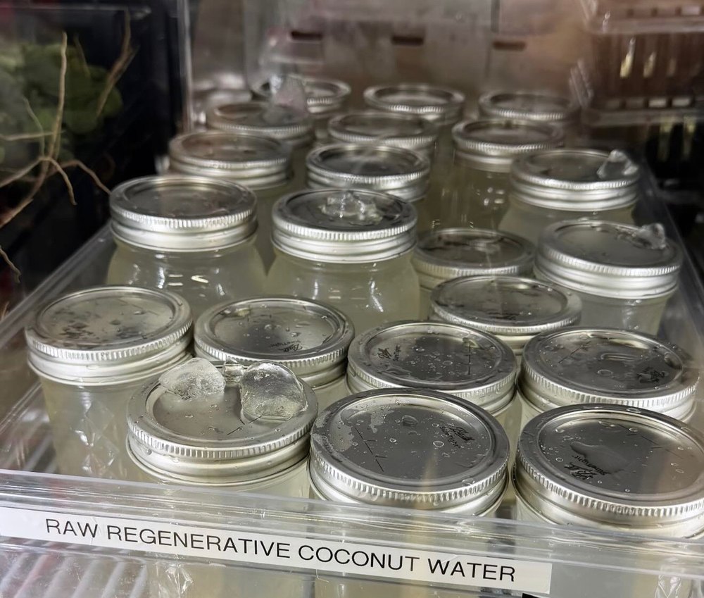 Jars of raw regenerative coconut water in the cold case at Hubbard's Cupboard